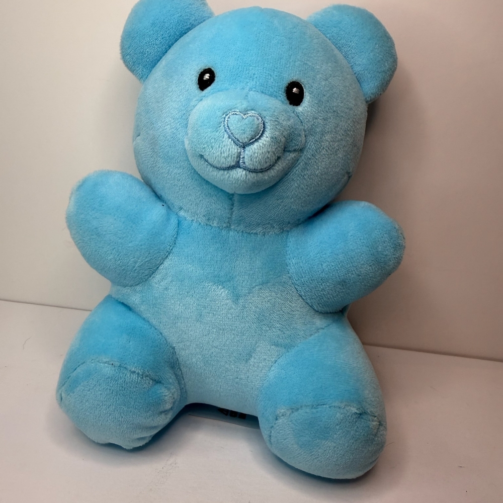 Blue Plush Teddy Bear